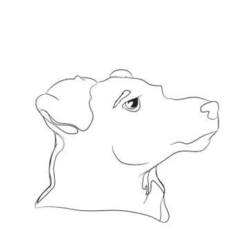 Dog portrait, lines, vector Stock Illustration