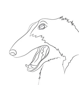 Dog portrait, lines, vector Stock-Illustration
