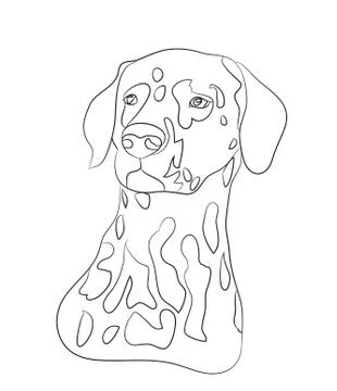 Dog portrait, lines, vector Stock Illustration
