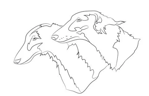 Dog portrait, lines, vector Illustrazione stock