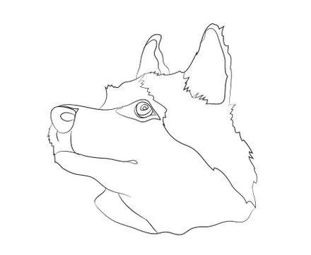 Dog portrait, lines, vector Illustrazione stock