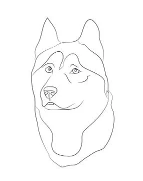Dog portrait, lines, vector Stock Illustration