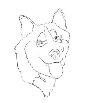 Dog portrait, lines, vector Stock Illustration