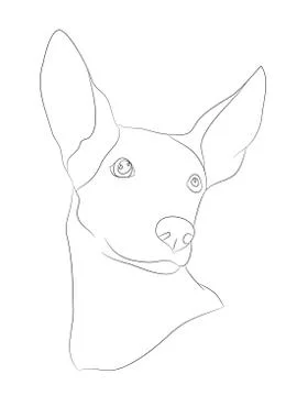 Dog portrait, lines, vector Illustrazione stock
