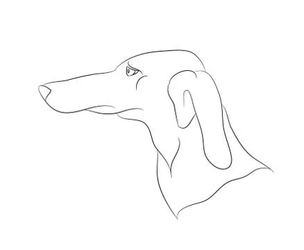 Dog portrait, lines, vector Stock Illustration