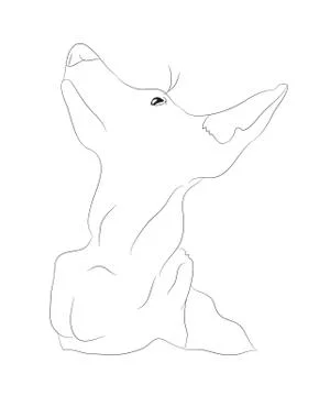 Dog portrait, lines, vector Stock Illustration