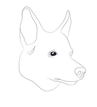 Dog portrait, lines, vector Illustrazione stock