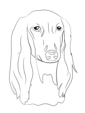 Dog portrait, lines, vector Illustrazione stock