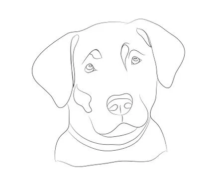 Dog portrait, lines, vector Stock Illustration