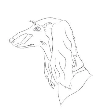 Dog portrait, lines, vector Illustrazione stock