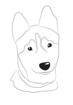 Dog portrait, lines, vector Stock Illustration