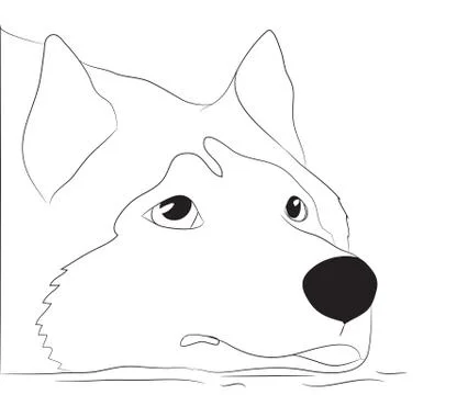 Dog portrait, lines, vector Stock Illustration