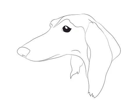 Dog portrait, lines, vector Stock Illustration