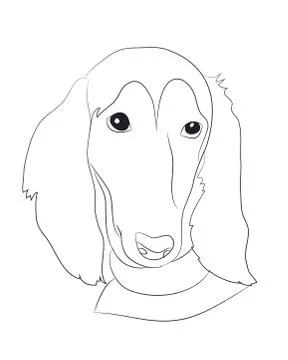 Dog portrait, lines, vector Stock Illustration