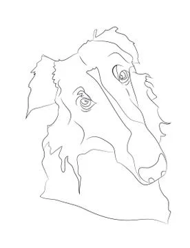 Dog portrait, lines, vector Stock Illustration
