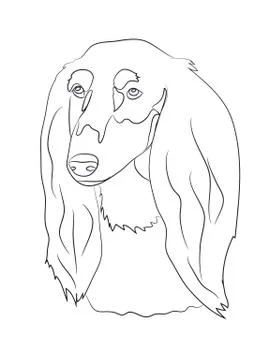 Dog portrait, lines, vector Stock Illustration