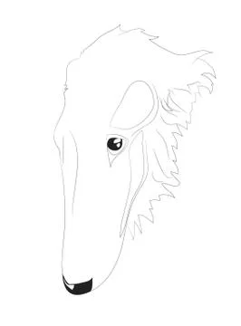 Dog portrait, lines, vector Stock Illustration