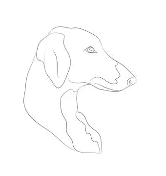 Dog portrait, lines, vector Stock-Illustration
