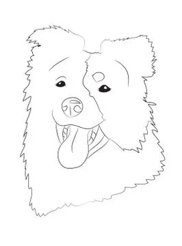 Dog portrait, lines, vector Stock-Illustration