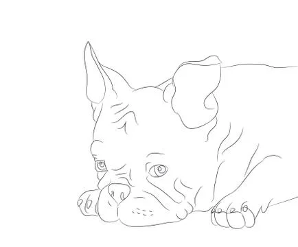 Dog portrait, lines, vector Stock Illustration