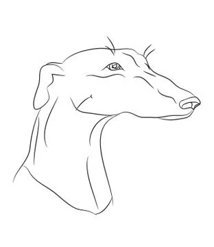 Dog portrait, lines, vector Illustrazione stock