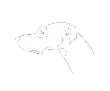 Dog portrait, lines, vector Stock Illustration