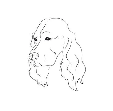 Dog portrait, lines, vector Stock Illustration