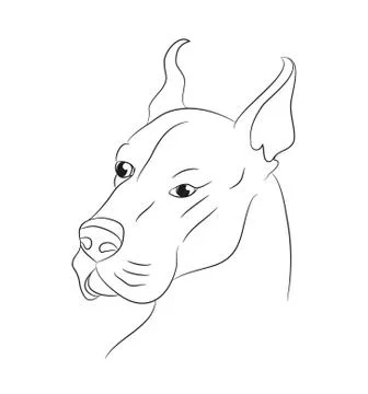 Dog portrait, lines, vector Stock Illustration