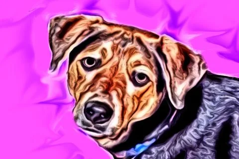 Dog portrait Foto stock