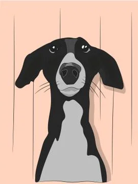 Dog portrait profile, look down Stock Illustration