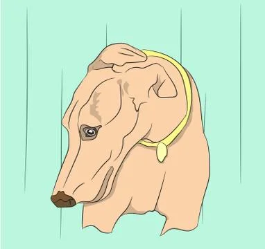 Dog portrait profile, look down Stock Illustration