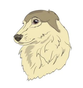 Dog portrait profile, look down Stock-Illustration