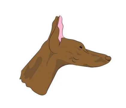 Dog portrait profile, look down Illustrazione stock