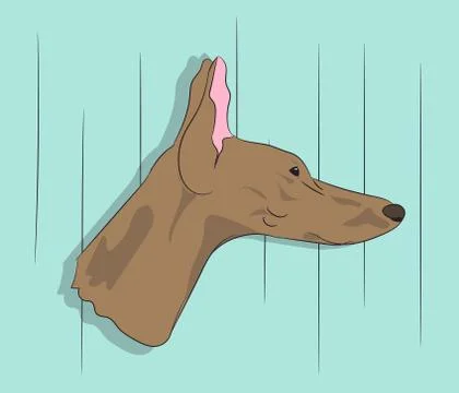 Dog portrait profile, look down Stock-Illustration