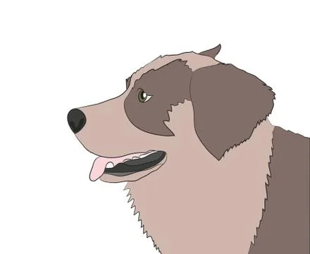 Dog portrait profile, look down Stock Illustration