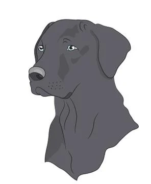Dog portrait profile, look down Illustrazione stock