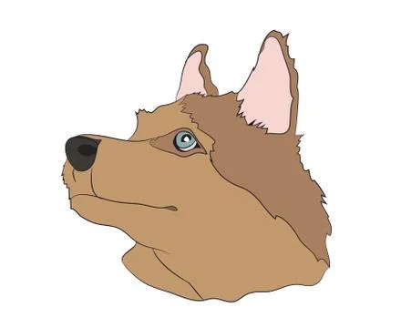 Dog portrait profile, look down Illustrazione stock
