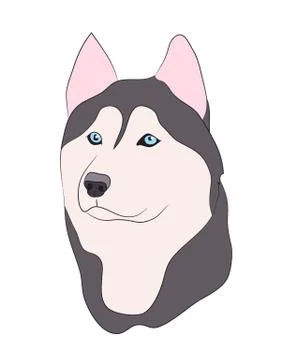 Dog portrait profile, look down Stock-Illustration