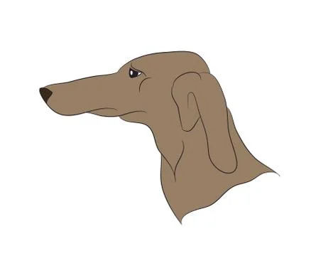 Dog portrait profile, look down Illustrazione stock