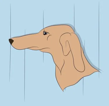 Dog portrait profile, look down Stock Illustration