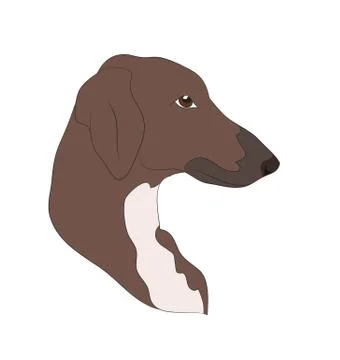Dog portrait profile, look down Illustrazione stock