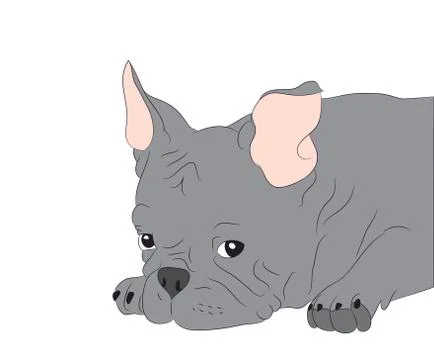 Dog portrait profile, look down Illustrazione stock