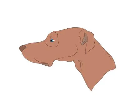 Dog portrait profile, look down Illustrazione stock