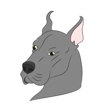 Dog portrait profile, look down Stock Illustration