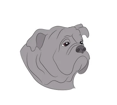 Dog portrait profile, look down Stock Illustration