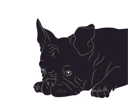 Dog portrait silhouette, vector Stock-Illustration