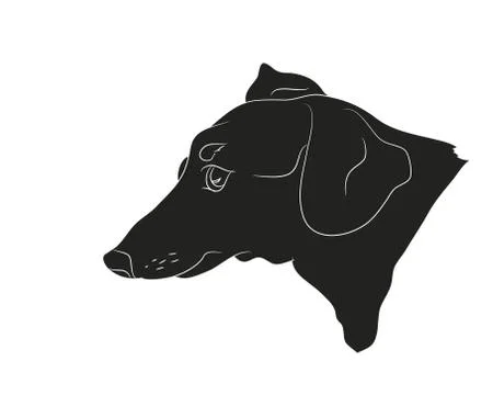 Dog portrait silhouette, vector Stock Illustration