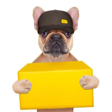Dog postman Fotos de archivo