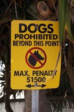 Dog prohibited Stock Photos