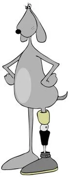 Dog with a prosthetic leg Stock Illustration